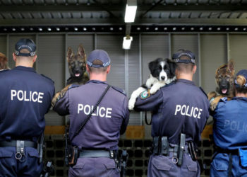 nsw-police-force-youth-engagement-strategy