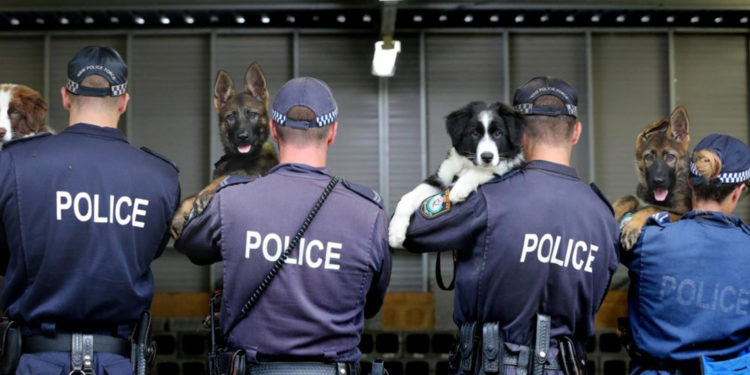 nsw-police-force-youth-engagement-strategy