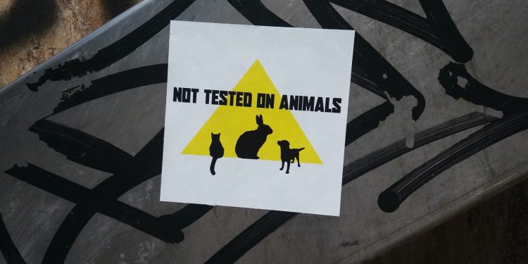 Gen Z’s Animal Cruelty Awakening