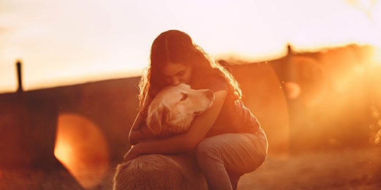 The Mental Impacts Of Covid On Year 12s