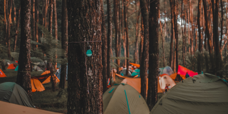 The Major Problem With School Camps