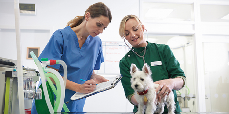 How To Help Your Child Choose A TAFE Course