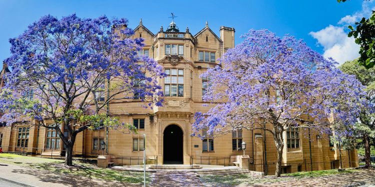 How Australians Actually Get Into University